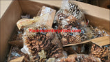 Shopify Auction Lot Of Cinnamon Scented Pine Cones 47 Pcs-587875-361364