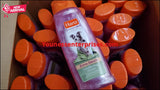 Shopify Auction Lot Of Hartz Dog Shampoo 29Pcs-1085947-781988
